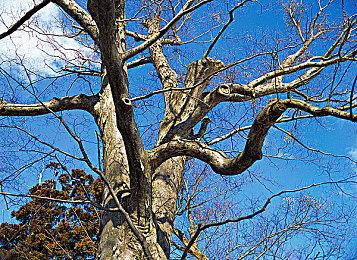 新视频展示《英雄不再3》和平战争两大游戏场景